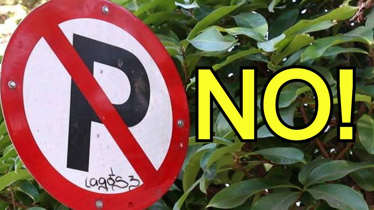 multa por aparcar en zona prohibida