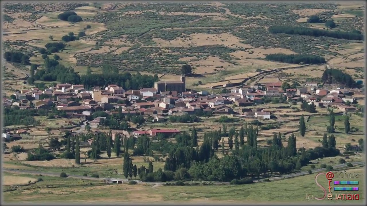 autoescuelas san martin de la vega