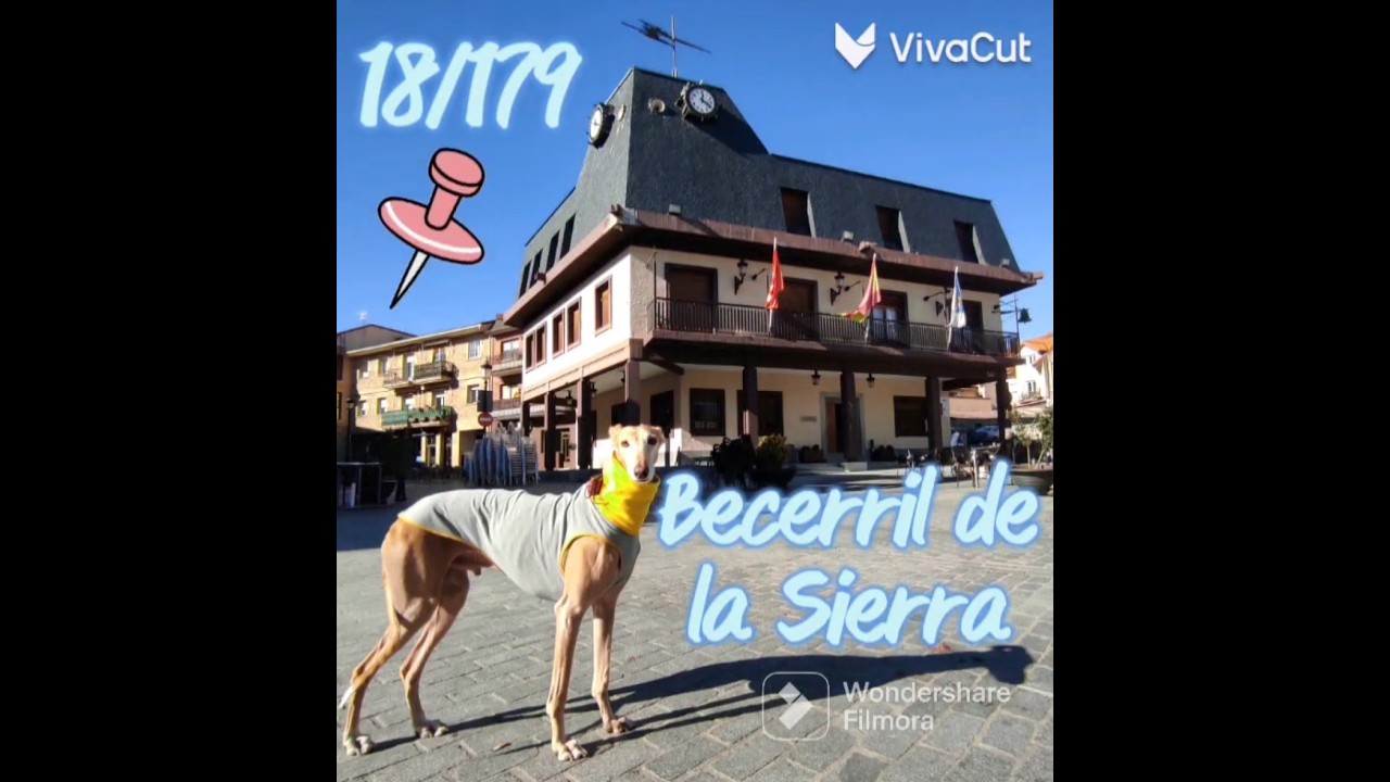 el albero becerril de la sierra