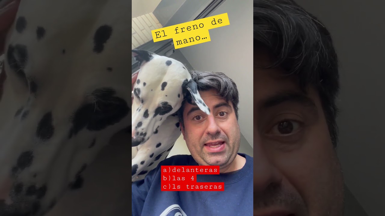 el freno de pie en un turismo actúa sobre las