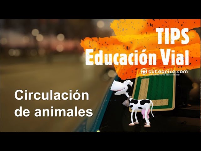 en carretera los animales deben circular
