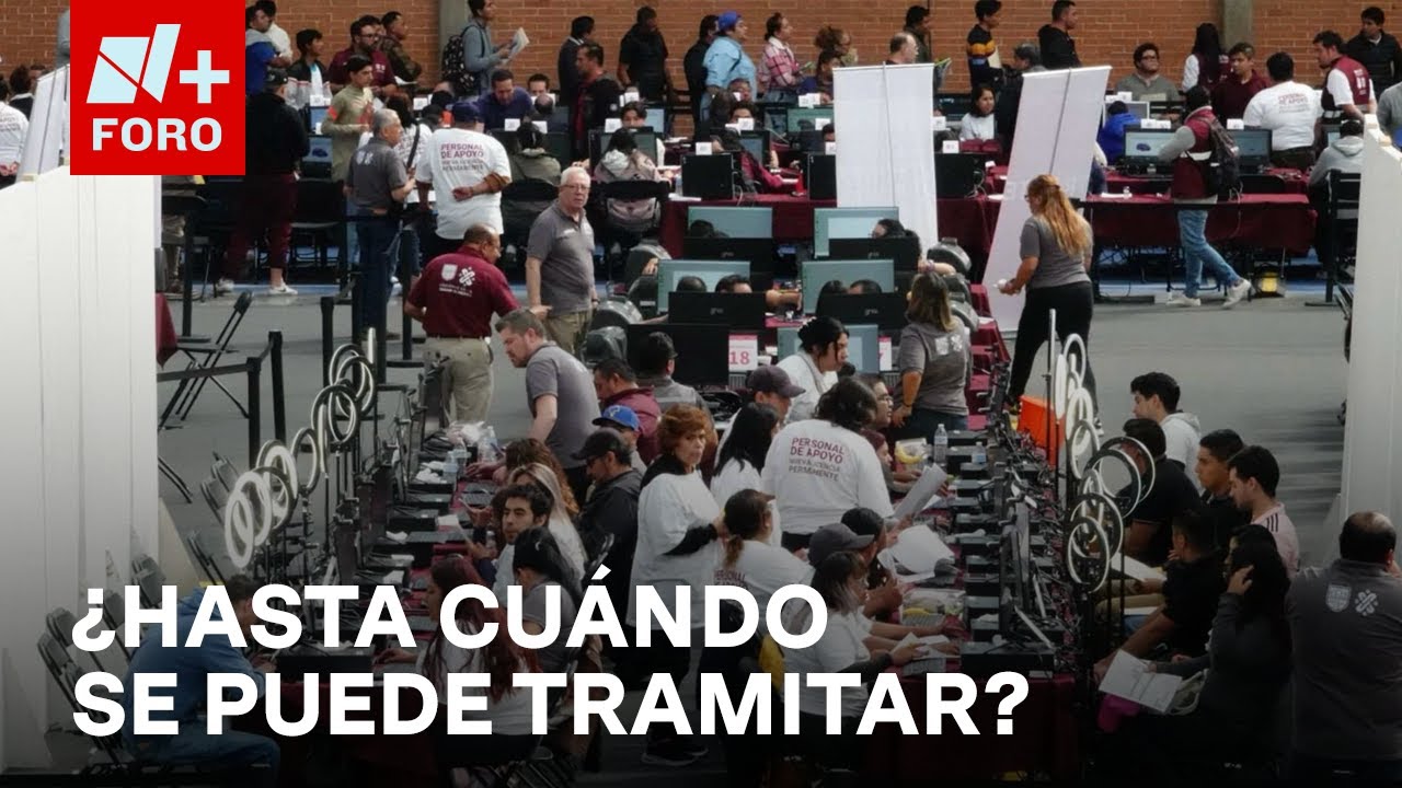 fecha primera expedicion carnet de conducir