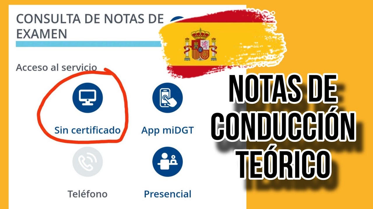 no hay ningún registro para los datos introducidos dgt