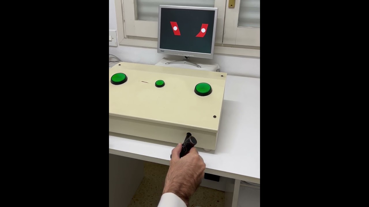 renovar carnet de conducir molins de rei