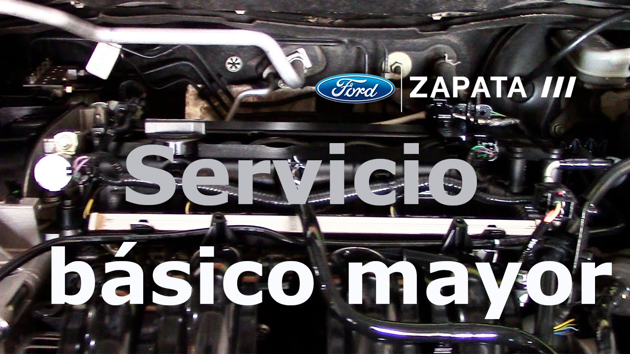 servicio al que se destina el vehículo
