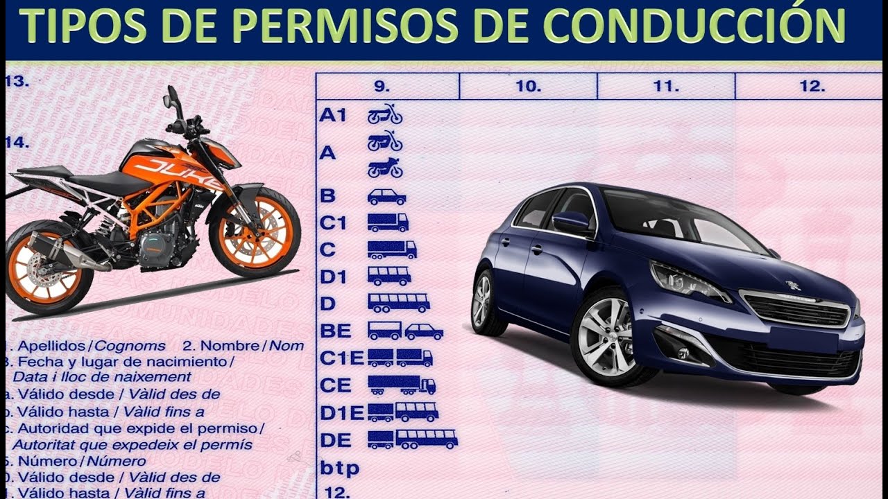 carnet de conducir de coche cual es