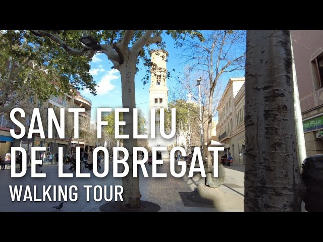 com & com sant feliu de llobregat