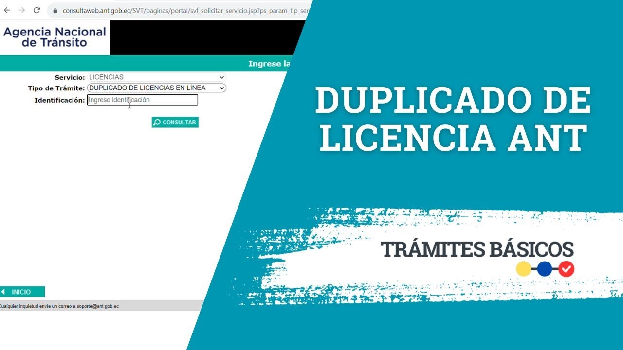 duplicado de carnet de conducir por robo