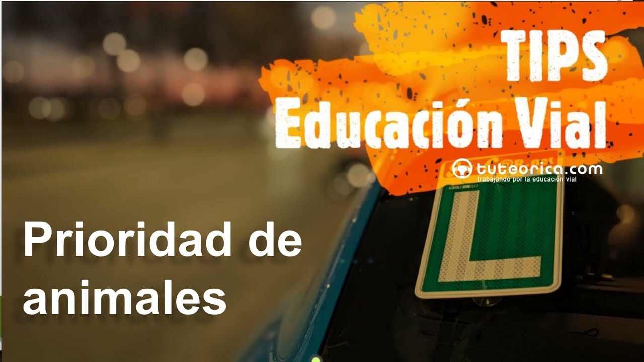 los animales tienen prioridad de paso sobre los vehículos