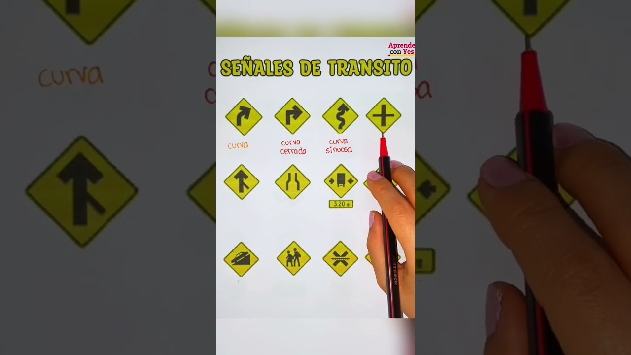 tabla de campos permiso de circulación