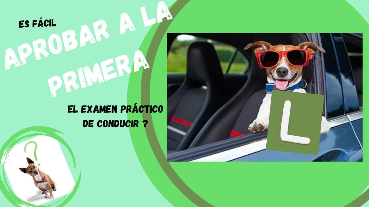 cuanta gente aprueba el práctico a la primera
