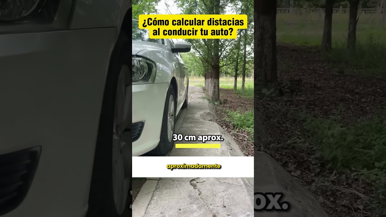 cuanto hay que medir para ir delante en el coche