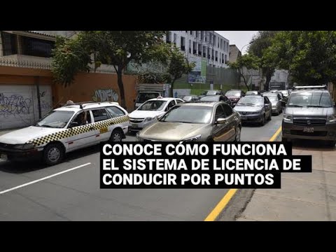 cuantos puntos tiene un conductor profesional