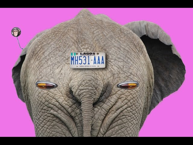 cuando se pone el intermitente en una rotonda