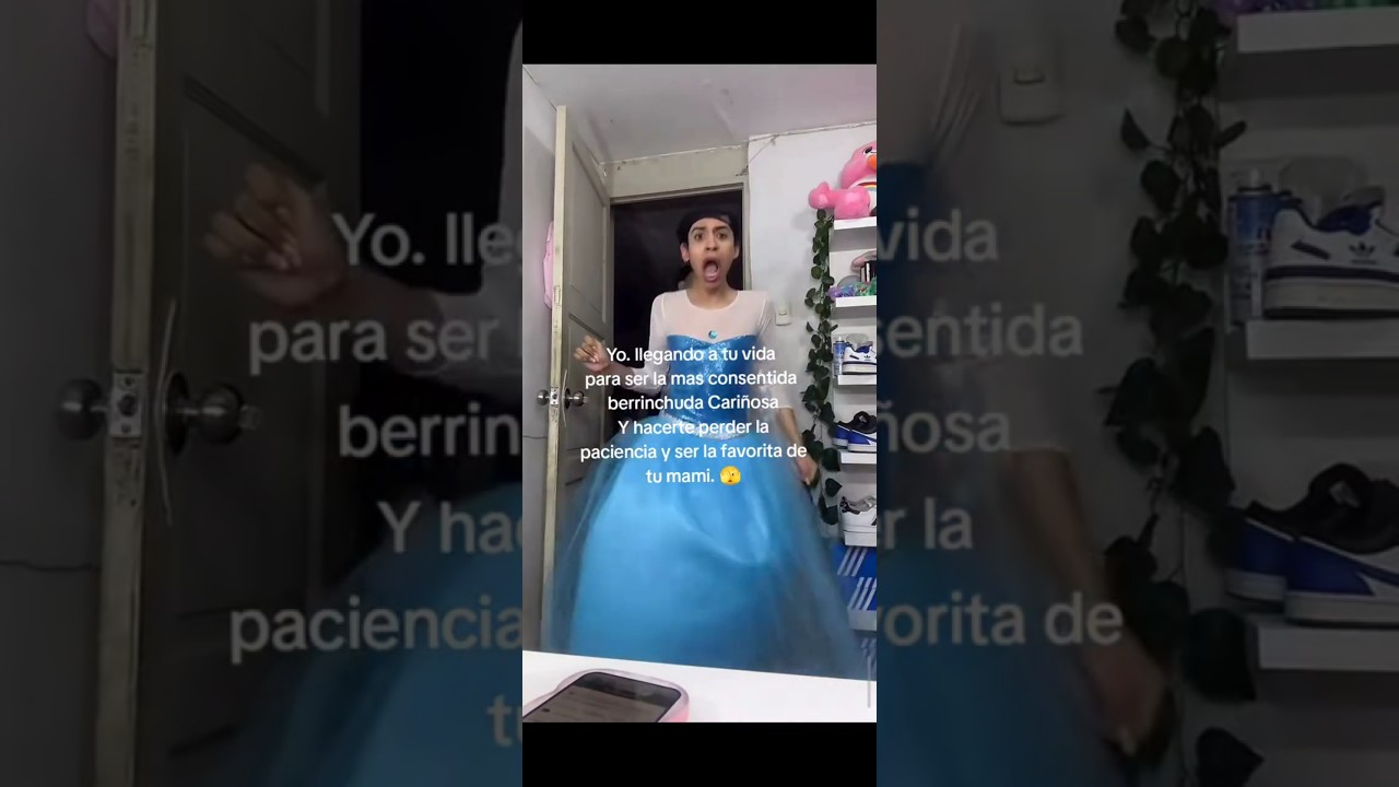 fotos de palacio de valentín terrassa