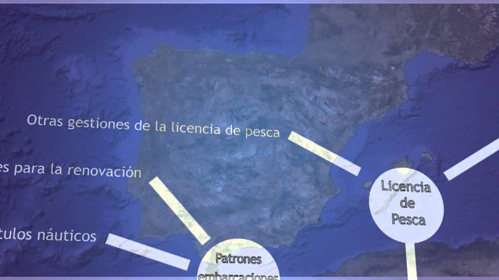 renovar carnet de conducir barrio del pilar