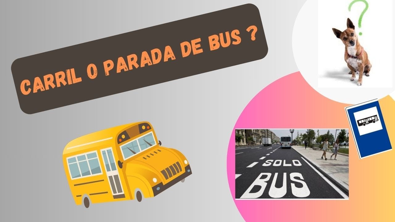 señal de parada de autobus y carril bus