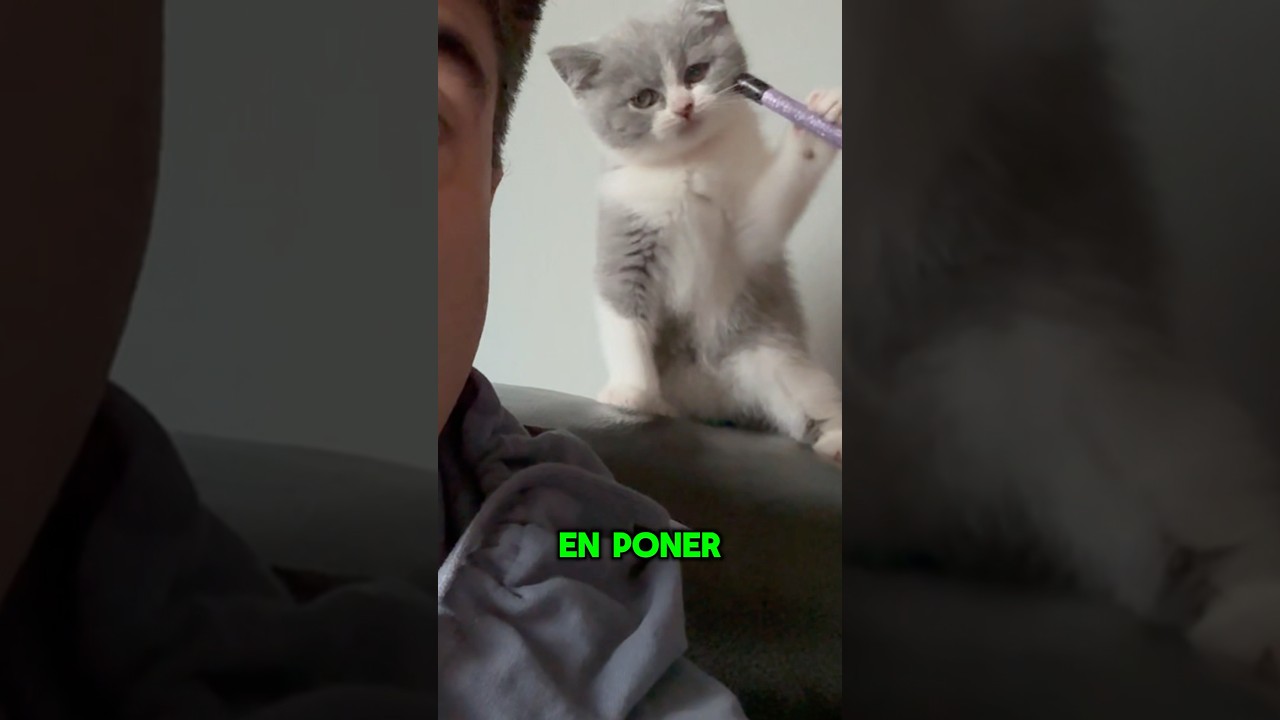 el estado del vehículo influye en