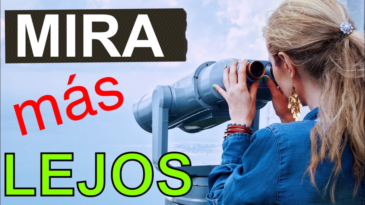 los principios de la conducción preventiva son